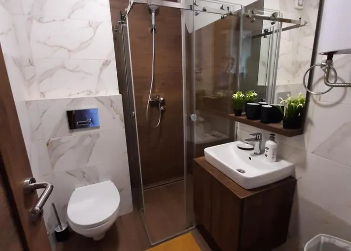 Apartment Krcmarica 20 Lux , Borovi 3 *